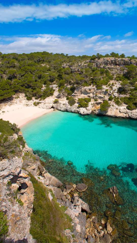 Mala Pronta images (4)