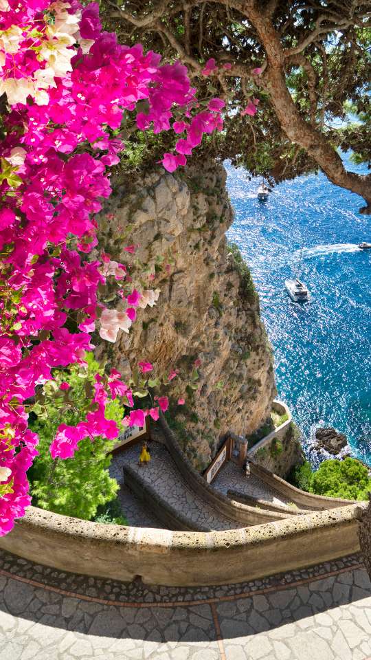 Mala Pronta images (5)