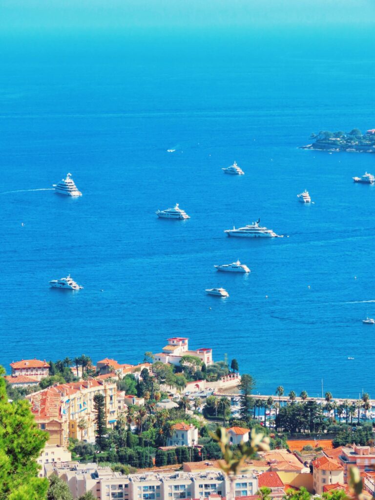 WhatsApp Image 2026 04 11 at 22.11.39